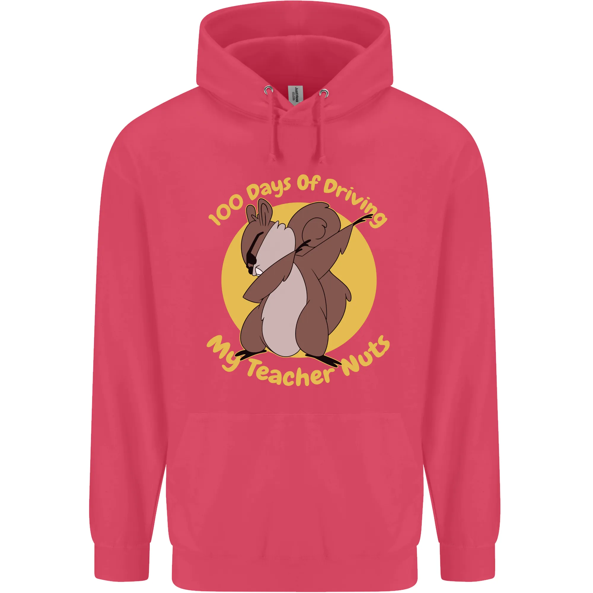 100 Days of Driving My Teacher Nuts Childrens Kids Hoodie