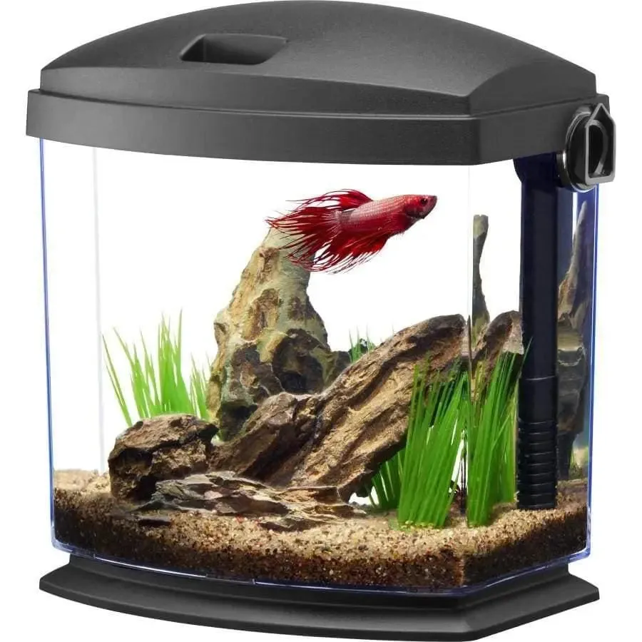 Aqueon BettaBow with Quick Clean Technology Aquarium Kit, Black