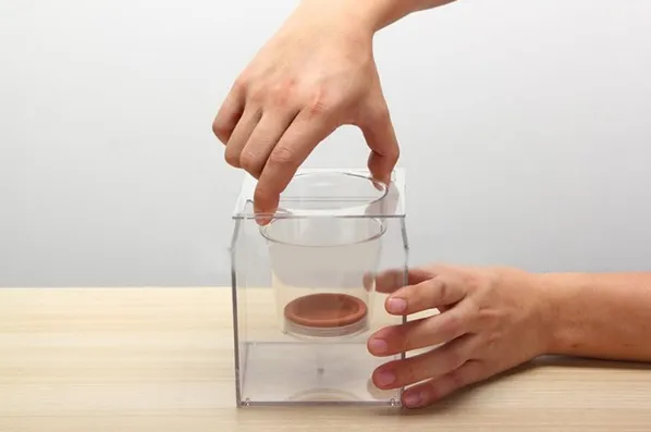 Fish Tank Flowerpot