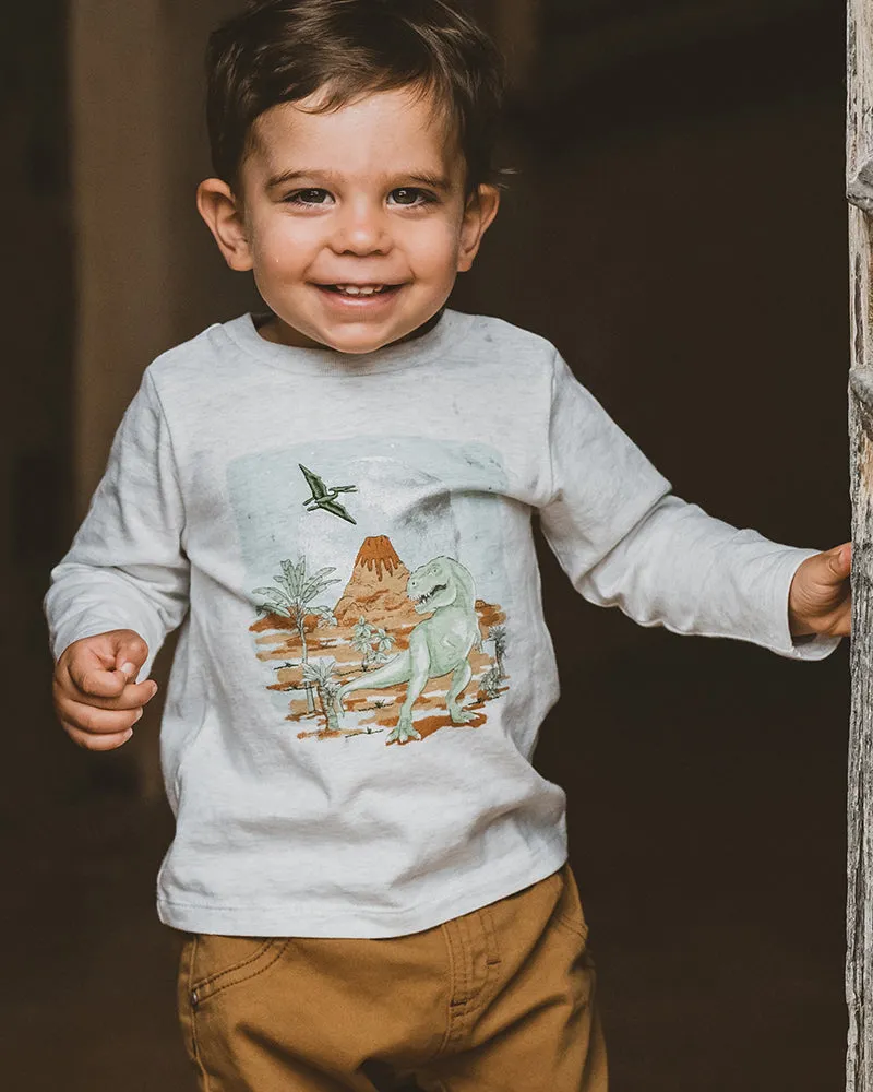 Fox & Finch T-Rex LS Moonrise Tee - Snow Marle (Size 00-7)